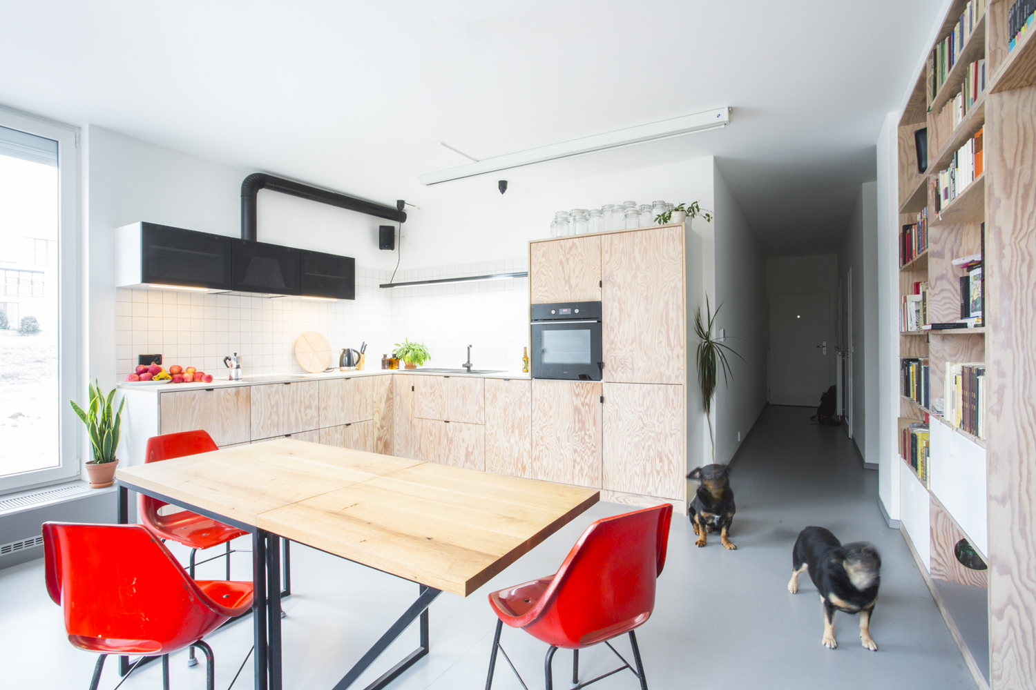 Studio Muck Flat for two and pets